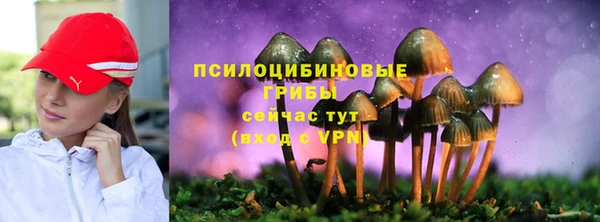 амф Нефтегорск