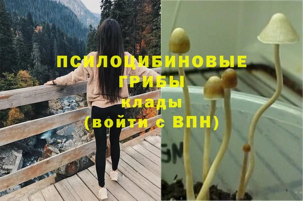 дмт Нея