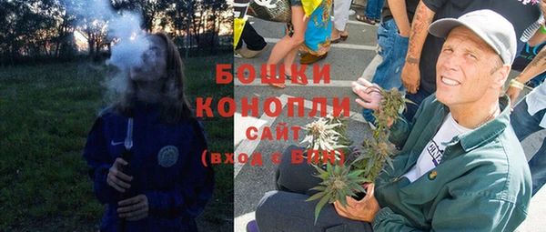 дмт Нея