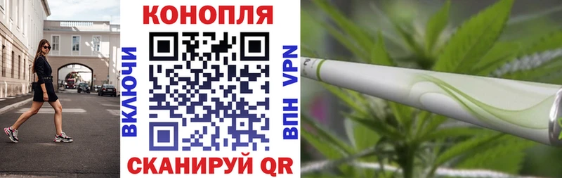 mega   Полесск  Бошки марихуана THC 21% 